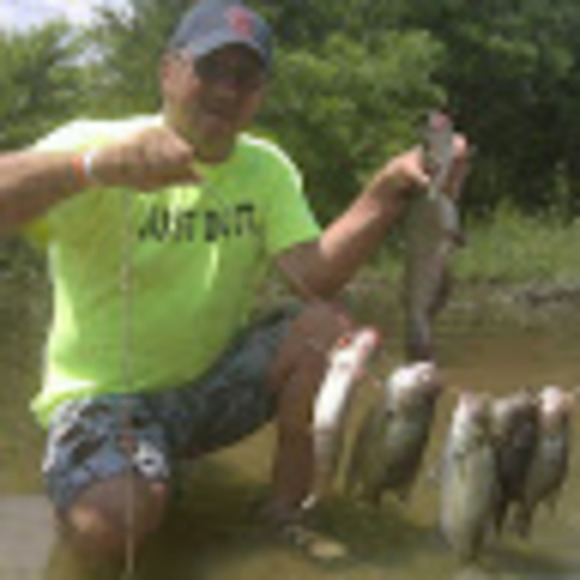 Meet your Posher, Farrell - Picture 1 of 1